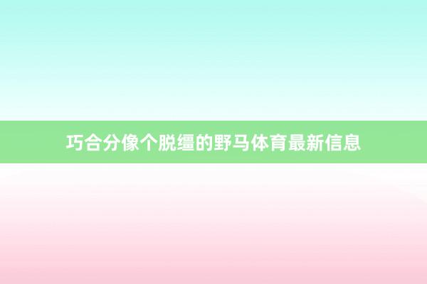巧合分像个脱缰的野马体育最新信息