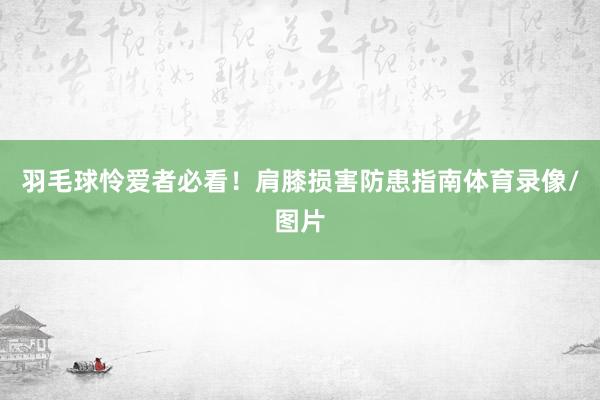 羽毛球怜爱者必看！肩膝损害防患指南体育录像/图片