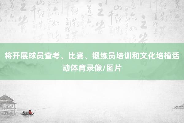 将开展球员查考、比赛、锻练员培训和文化培植活动体育录像/图片
